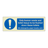 Only human waste and toilet tissue to be flushed down these toilets (Marine Sign)