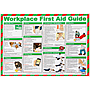 Workplace First Aid Guide Poster