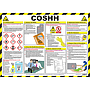 COSHH Control of substances hazardous to health poster