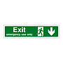 Exit Emergency use only arrow down sign